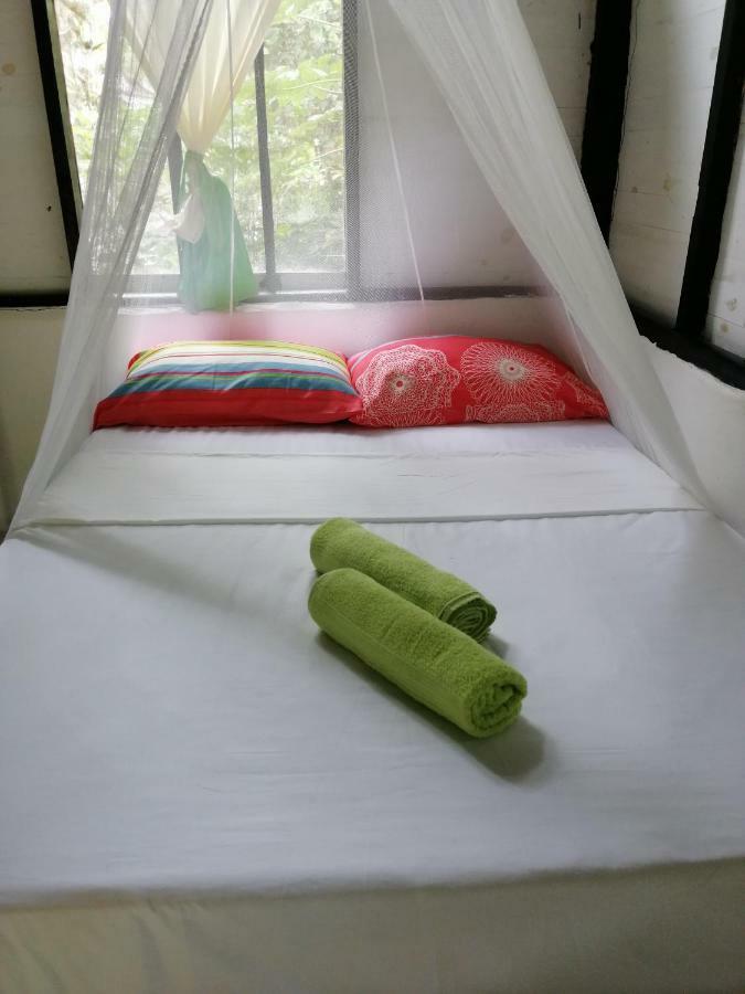 Eco Hostal Los Cocos Isla Grande  Exterior foto
